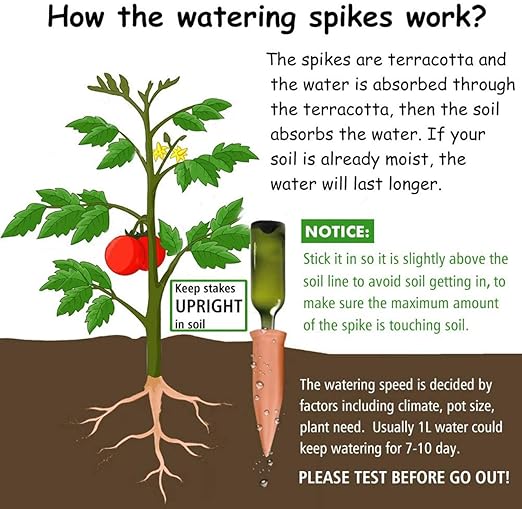 🌱 Terracotta Self-Watering Spikes 💧