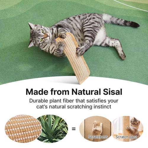 🔥Last Day 50% OFF🐱Interactive Catnip Chew Toy with 30,000mg A+ Organic Catnip