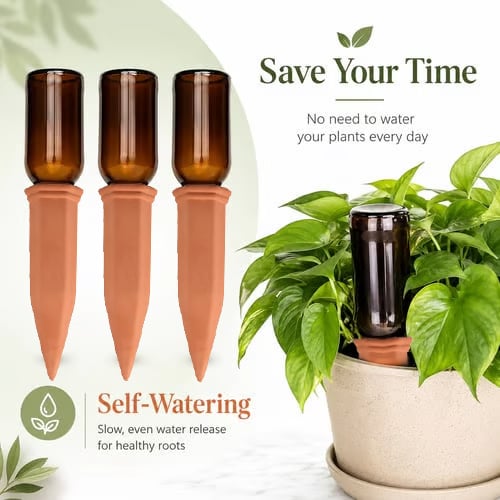 🌱 Terracotta Self-Watering Spikes 💧