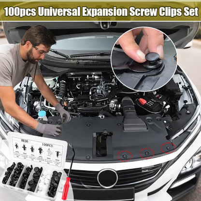 🔥 FLASH SALE: Buy 1 Get 1 FREE! 100-Piece Universal Car Clip Set