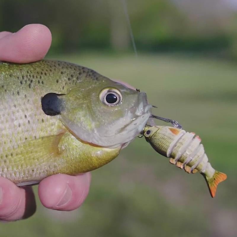 ⚡44% OFF🔥 2'' Lifelike 6-Joint Micro Swimbait | Ultimate Freshwater Lure