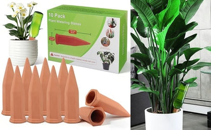🌱 Terracotta Self-Watering Spikes 💧