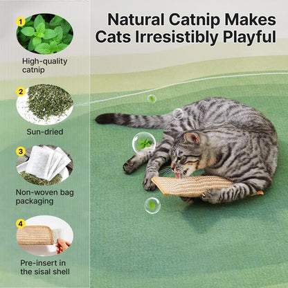 🔥Last Day 50% OFF🐱Interactive Catnip Chew Toy with 30,000mg A+ Organic Catnip