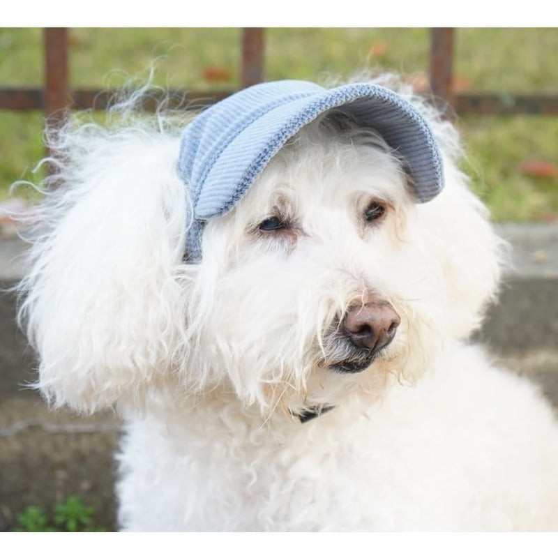 Corduroy Dog Sun Hat – Cute UV-Shade Hat for Sunny Walks 🐶