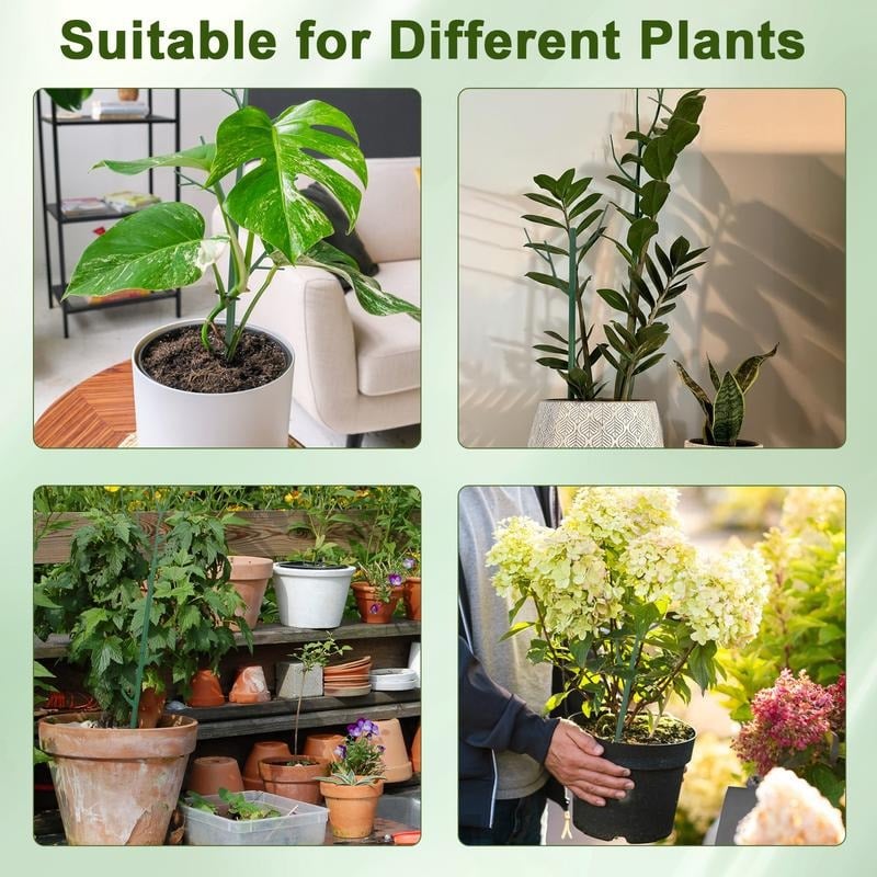 🏆Flash Sale⚡💖🌿 5 Pack Plant Support Stakes