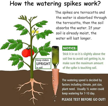 🌱 Terracotta Self-Watering Spikes 💧