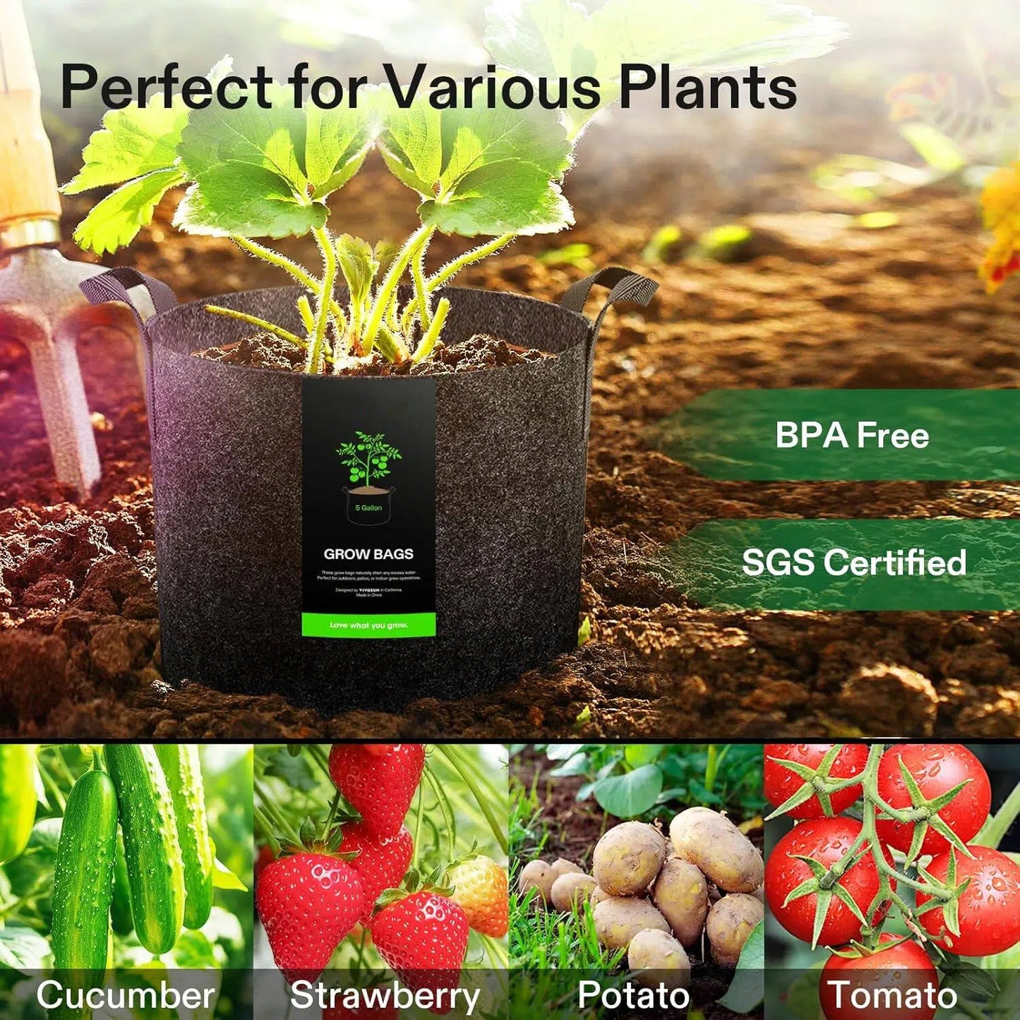 Heavy-Duty Fabric Grow Bags — Choose 2, 5 or 10 Gallon