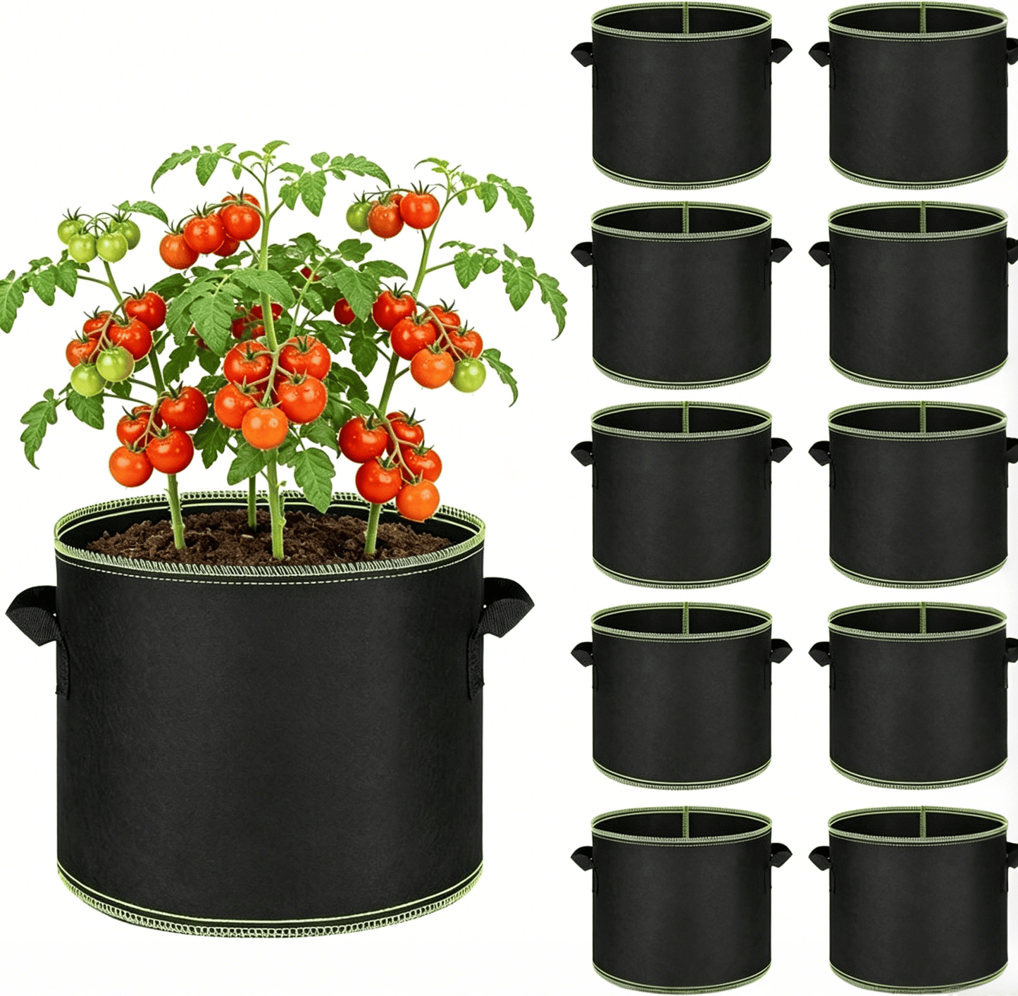 Heavy-Duty Fabric Grow Bags — Choose 2, 5 or 10 Gallon