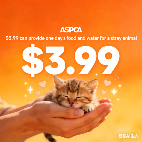 I need help adding a little love for my furry friend! Willing to donate to