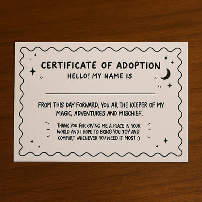 🐉Emotional Support Dragon Adoption Kit
