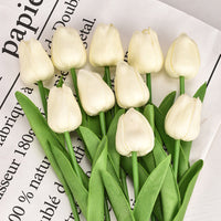 Creamy White
