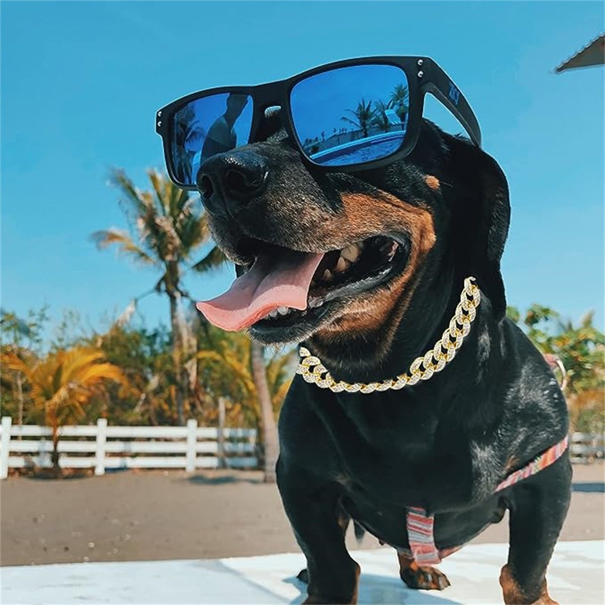 🔥 Iced-Out Cuban Link Collar – The Ultimate Bling Chain for Cats & Dogs 🐱🐶