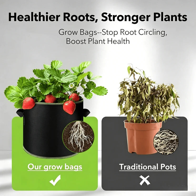 Heavy-Duty Fabric Grow Bags — Choose 2, 5 or 10 Gallon