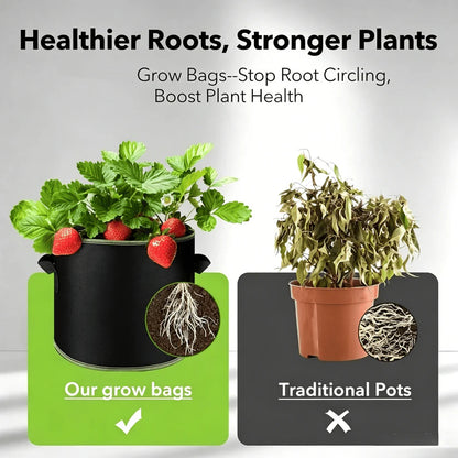 Heavy-Duty Fabric Grow Bags — Choose 2, 5 or 10 Gallon